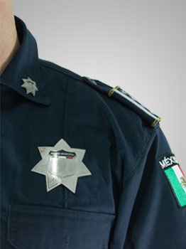 placas e insignias 606