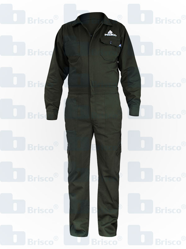 overol pemex tradicional