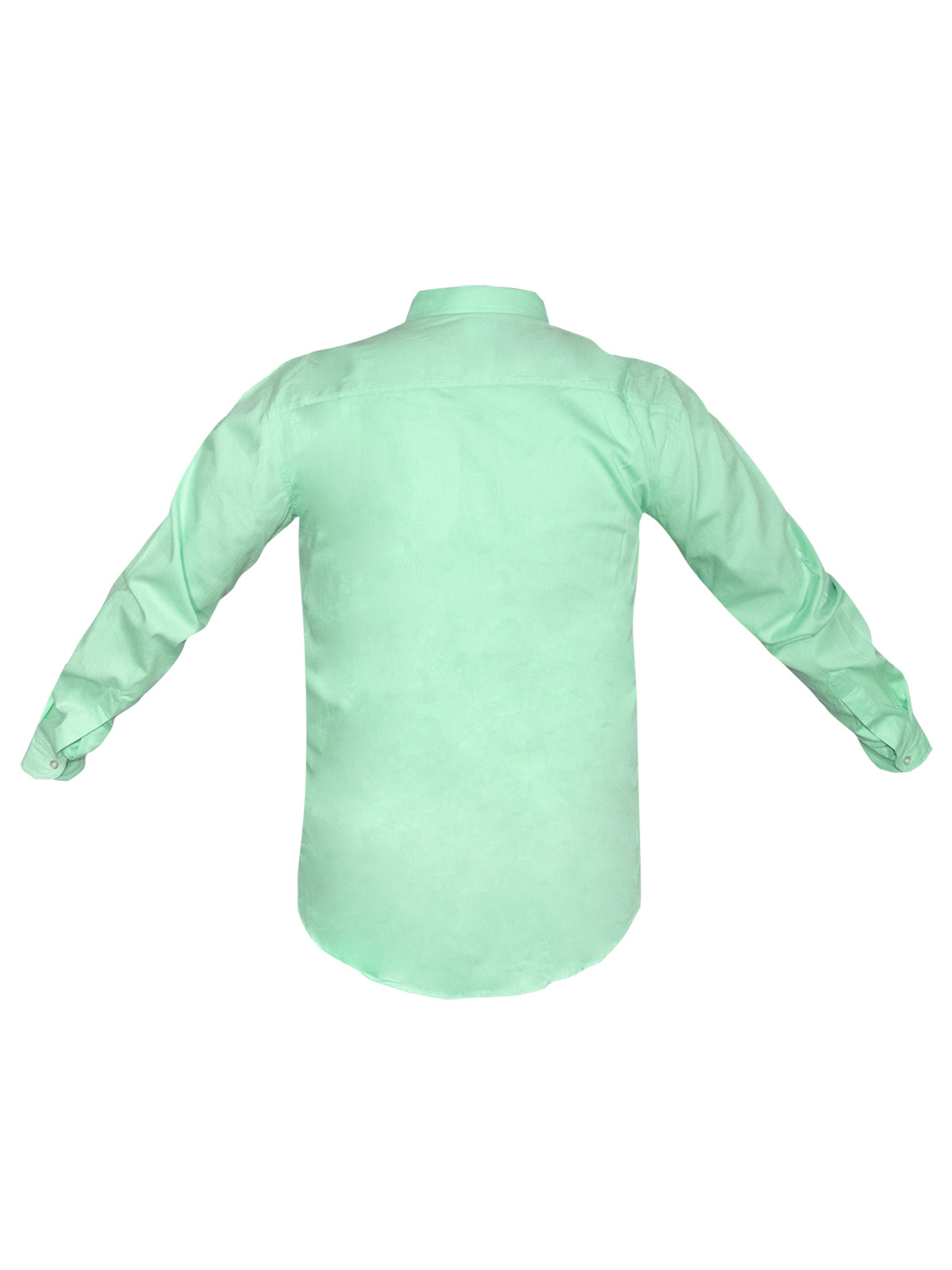 camisa casual oxford verde menta